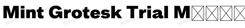 Mint Grotesk Trial M字体转换
